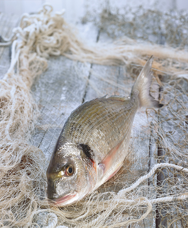 la-despensa-dorada