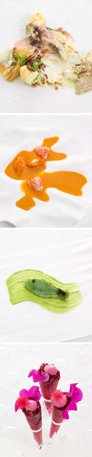 carme_ruscalleda_fusion_de_colores_compo