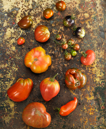 tomates variados