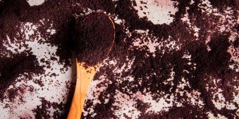acai super alimento